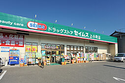 パルムI