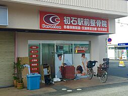 オモト