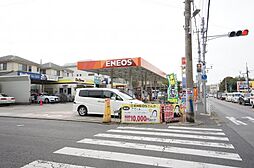 ザ・パームス柏