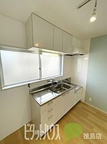 スカイハイツ新田  ｜ 徳島県徳島市津田本町５丁目（賃貸マンション1LDK・2階・43.47㎡） その5