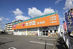 徳島県徳島市住吉４丁目（賃貸マンション1LDK・2階・41.24㎡） その25