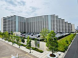 オハナ柏たなかパークフロント11階