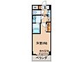 ドミールコート伏見桃山5階6.7万円