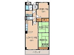 JR奈良線 黄檗駅 徒歩6分の賃貸マンション 5階3LDKの間取り