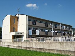 JR奈良線 黄檗駅 徒歩12分の賃貸マンション