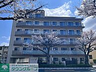 東京都府中市是政1丁目30-5：物件画像／株式会社タウンハウジング東京　府中店