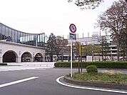 東京競馬場 1600m