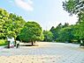 周辺：【公園】光が丘公園まで820ｍ