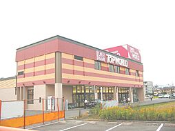 ピコットV