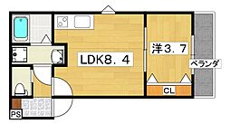 ジーメゾン渚元町プレディア 3階1LDKの間取り