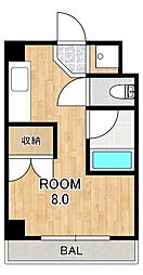 カルテットKOBORI A棟 5階/-