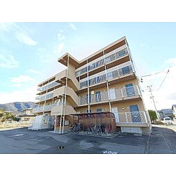 クオリティー白眉