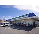 コンビニ「ファミリーマート松本征矢野店まで484ｍ」
