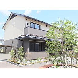 グランデノーチェ C
