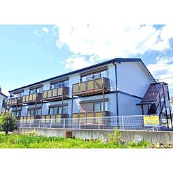 SurplusパープルFUJI