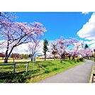 公園「運動公園南緑地まで193ｍ」
