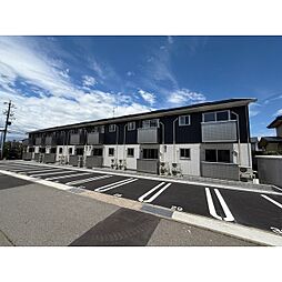 ムルチコーレ　榎