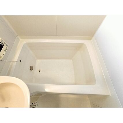 セフィーラ杏里_その他_1