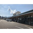 スーパー「デリシア七瀬店まで1196ｍ」