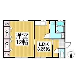 新井アパート 1LDKの間取り