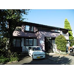 ホワイトバーチ原