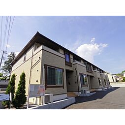 サニープラシード