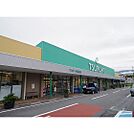 スーパー「ツルヤ小諸東店まで1535ｍ」