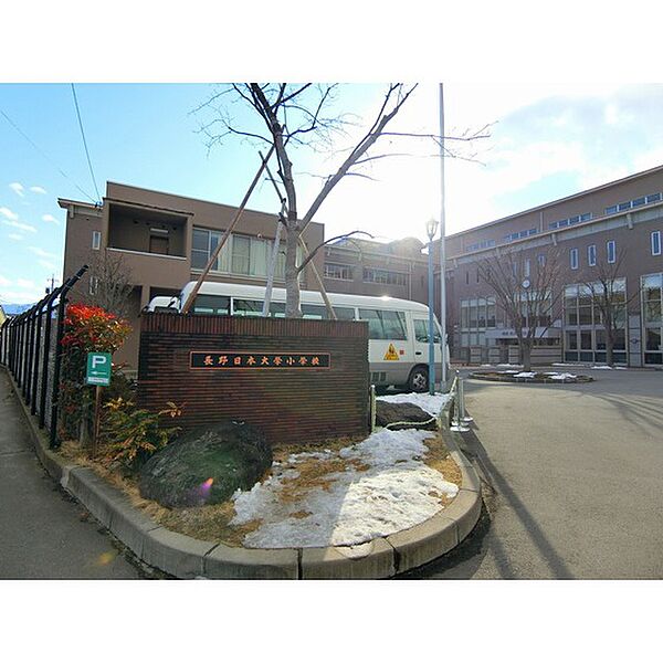 画像30:小学校「私立長野日本大学小学校まで922ｍ」
