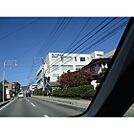 病院「北野病院まで407ｍ」