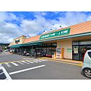 スーパー「デリシア桐店まで1237ｍ」