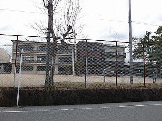 彦根市立高宮小...