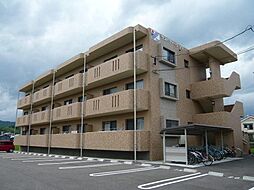サンパティーク　ソヨ