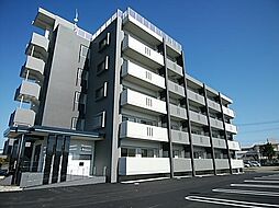 Ｂｒｏｏｋ’ｓ　ＳｑｕａｒｅIII 305