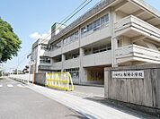 桜岡小学校(350m)