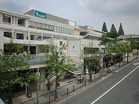 サンシティ上野  ｜ 愛知県名古屋市千種区上野３丁目19番12号（賃貸マンション1K・2階・17.32㎡） その18