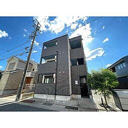 Ｍonstera野並（モンステラノナミ）