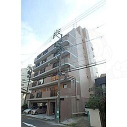 グレースイナガキ