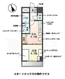 M-stage　Aoi
