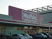 マックスバリュ昭和橋通店まで1、061ｍ