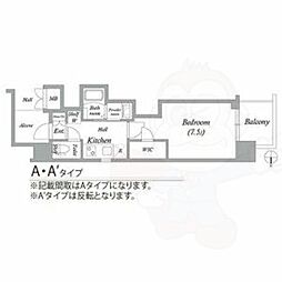 エステムコート名古屋平安通クチュール 8階/-