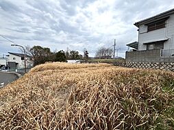 泉南市新家土地