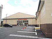 しまむら 衣笠店（697m）