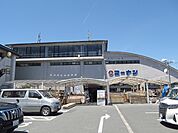 ホームセンターコーナン 宝ヶ池1号館店（503m）