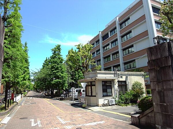 画像9:京都大学（1301m）