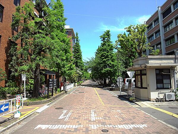 ヴェルメゾンプチ北白川 202｜京都府京都市左京区北白川久保田町(賃貸アパート1DK・2階・39.00㎡)の写真 その18