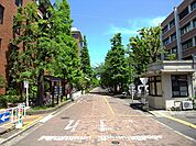 京都大学 北部キャンパス（3772m）