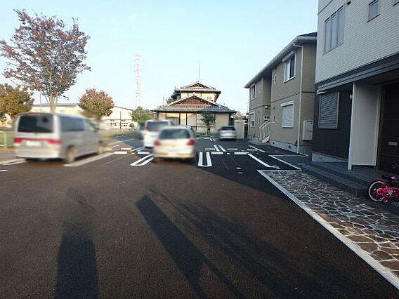 オリーブ_周辺_0