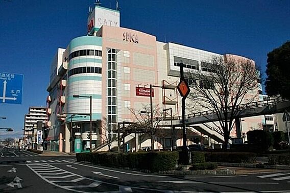 オリーブ_周辺_1