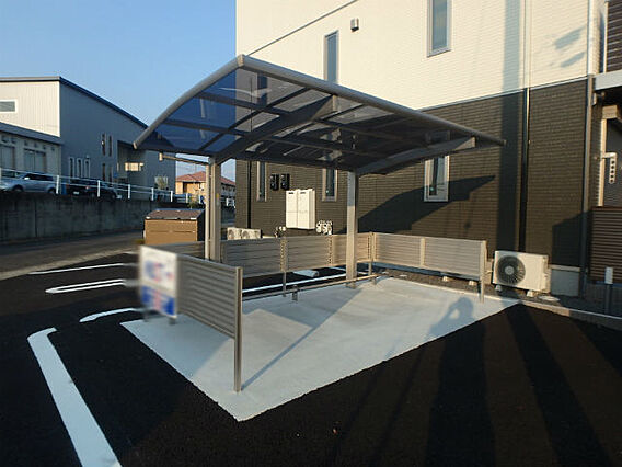 オリーブ_その他_3