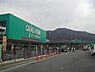 周辺：カインズ壬生店 2773m